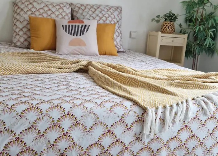 Le Cosy Hyper Centre D\'Orleans